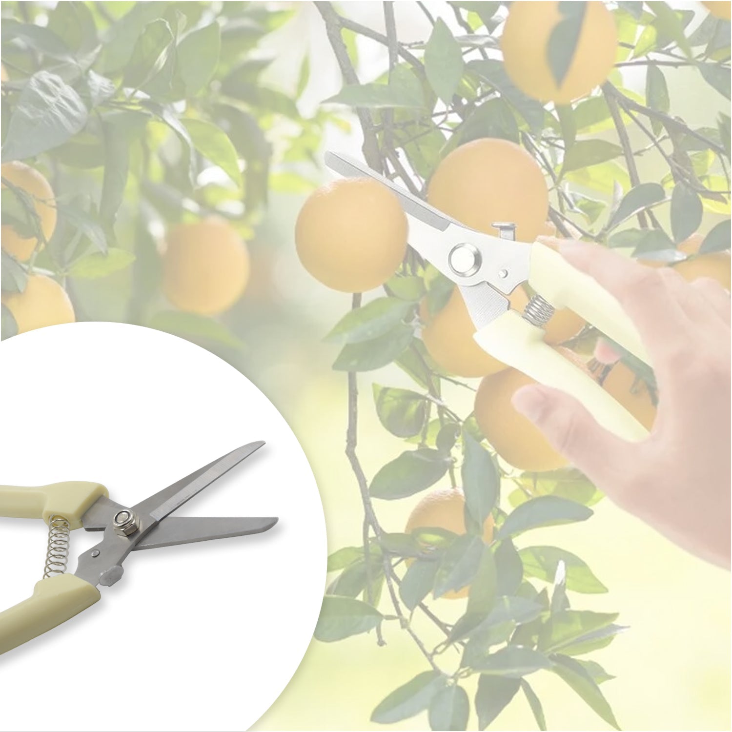 Garden Pruning Shears with Anti-Slip Handle Labor-Saving Fruit Tree Pruning Shears - Springkart 