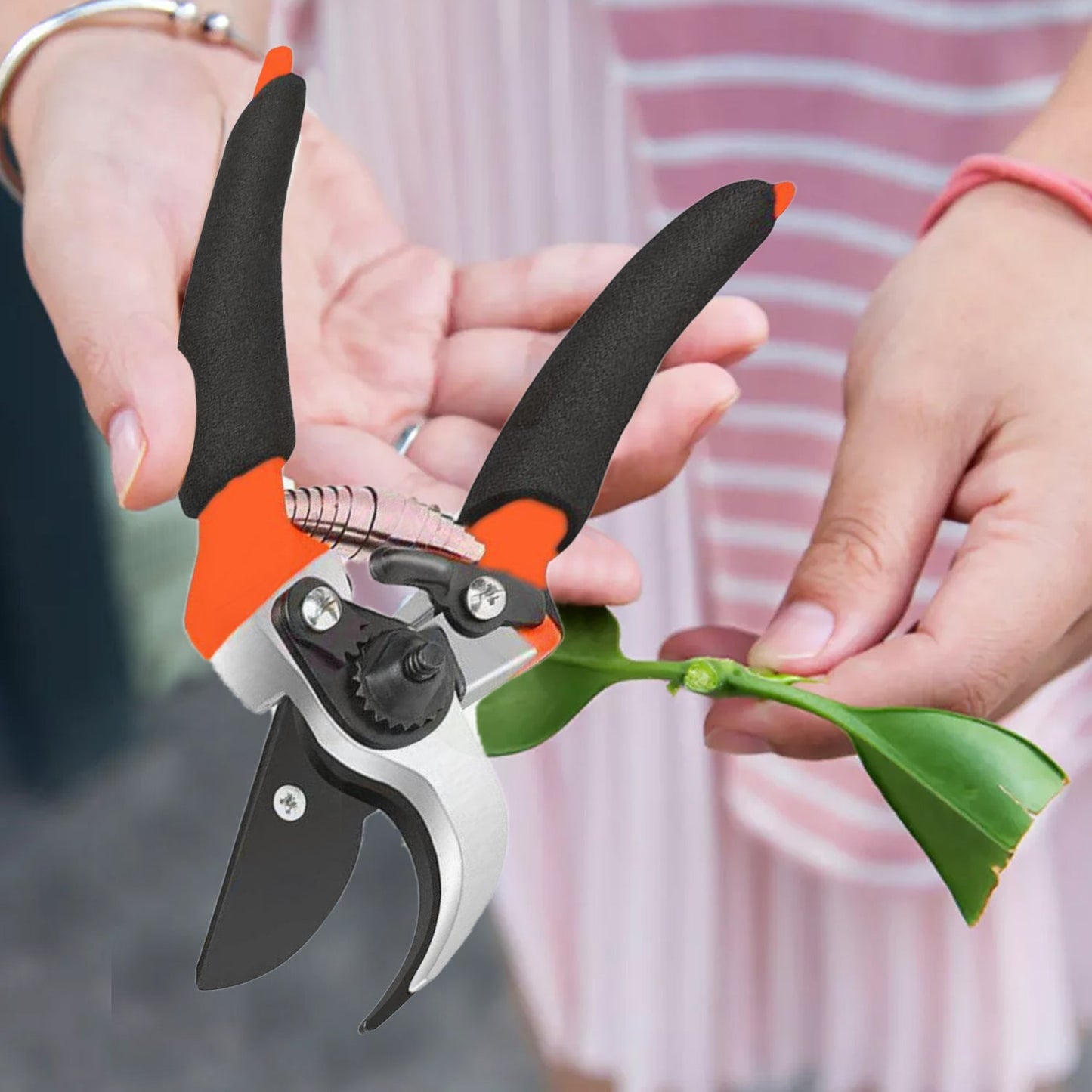 Garden Shears Sharp Cutter Pruners Scissor, Pruner - Springkart 