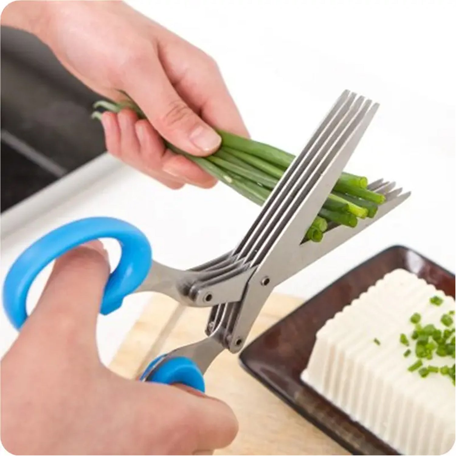 MULTIFUNCTION VEGETABLE STAINLESS STEEL HERBS SCISSOR WITH 5 BLADES - Springkart 