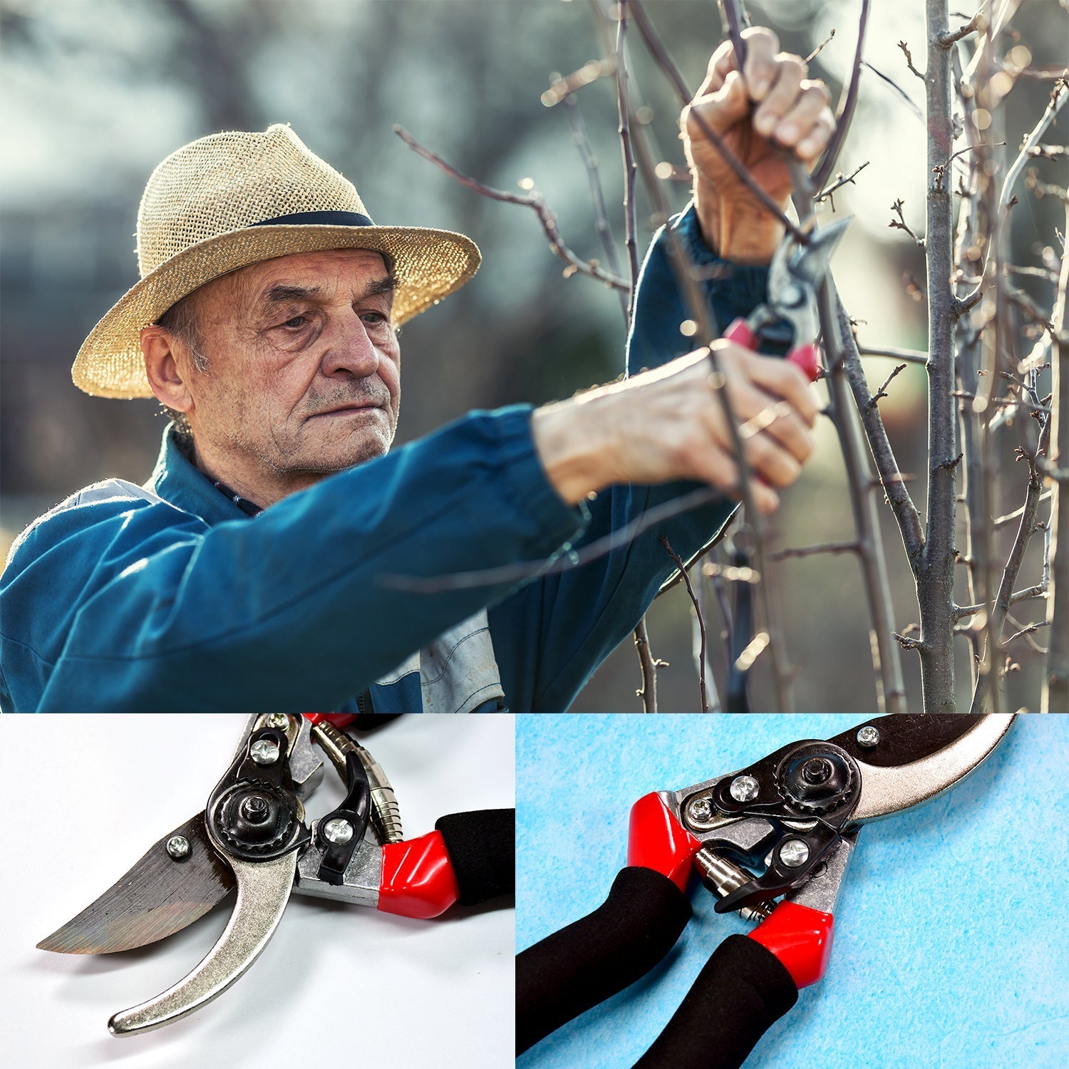 Red garden pruners, sharp cutter for trimming