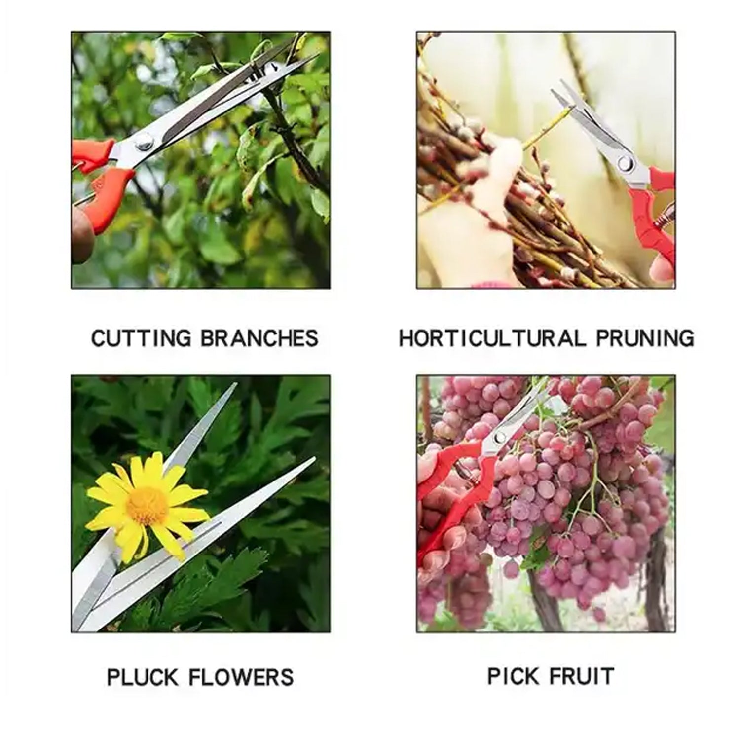 Heavy Duty Stainless Steel Cutter, Non‑slip Trimming Scissors Durable Not Easy To Wear for Gardening Pruning Of Fruit Trees Flowers and Plants (With Plastic Packing) - Springkart 