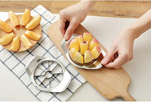 Stainless Steel Apple Cutter / Slicer with 8 Blades and Handle - Springkart 