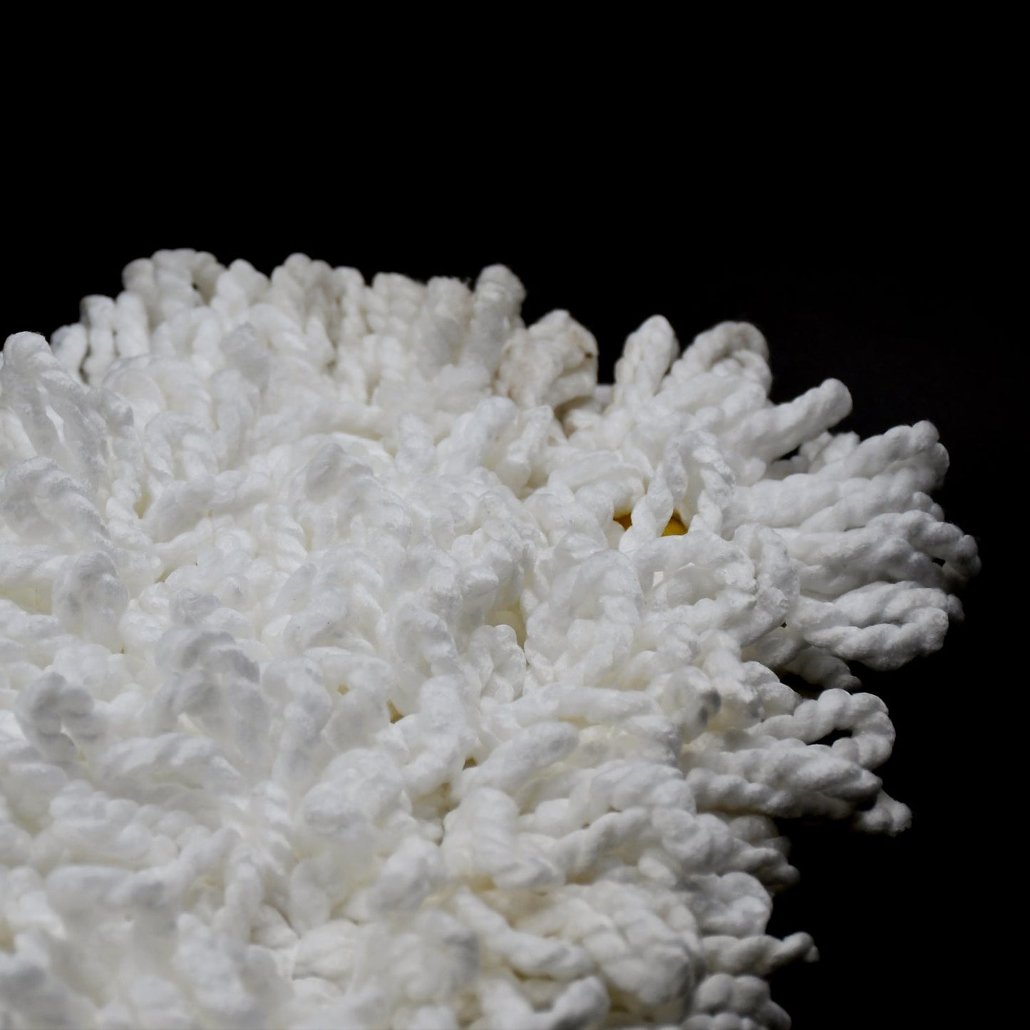 Dust Mop Refill - Replacement Mop Head Only - 50cm X 20cm - Springkart 