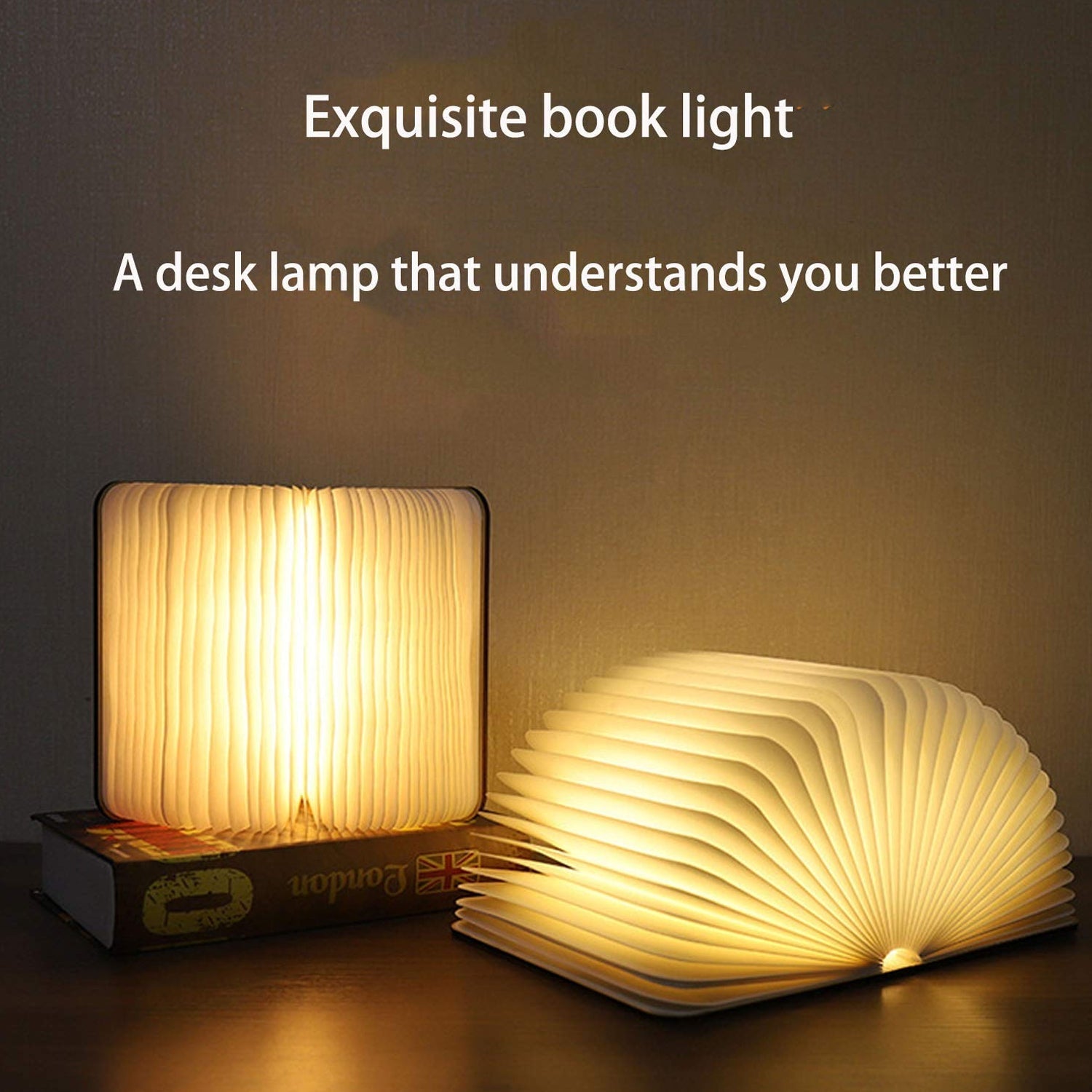Piglet Shape Book Lamp Animal Led Book Lamp Christmas Gift Light RGB Colors Custom Gift Book Lamp - Springkart 