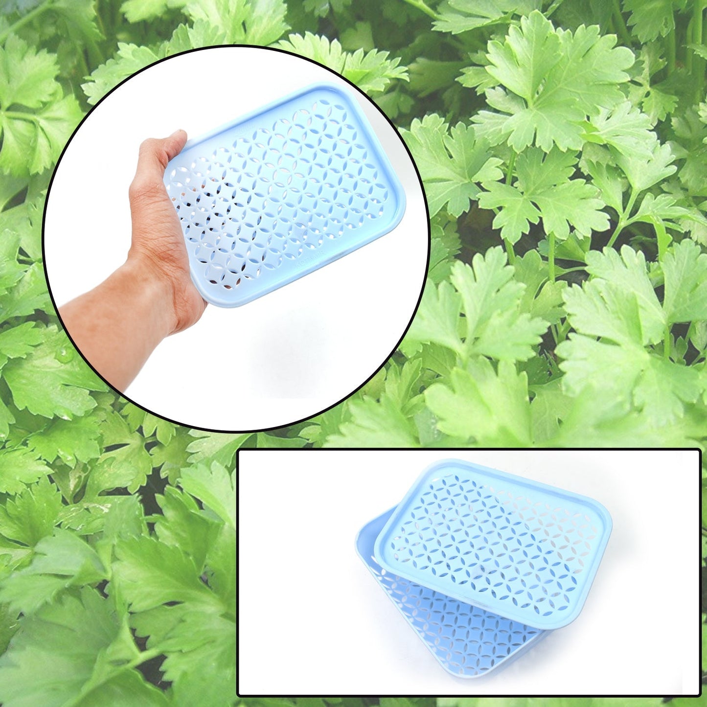 1 Pc Kothmir Basket widely used in all types of household places for holding and storing various kinds of fruits and vegetables etc. - Springkart 