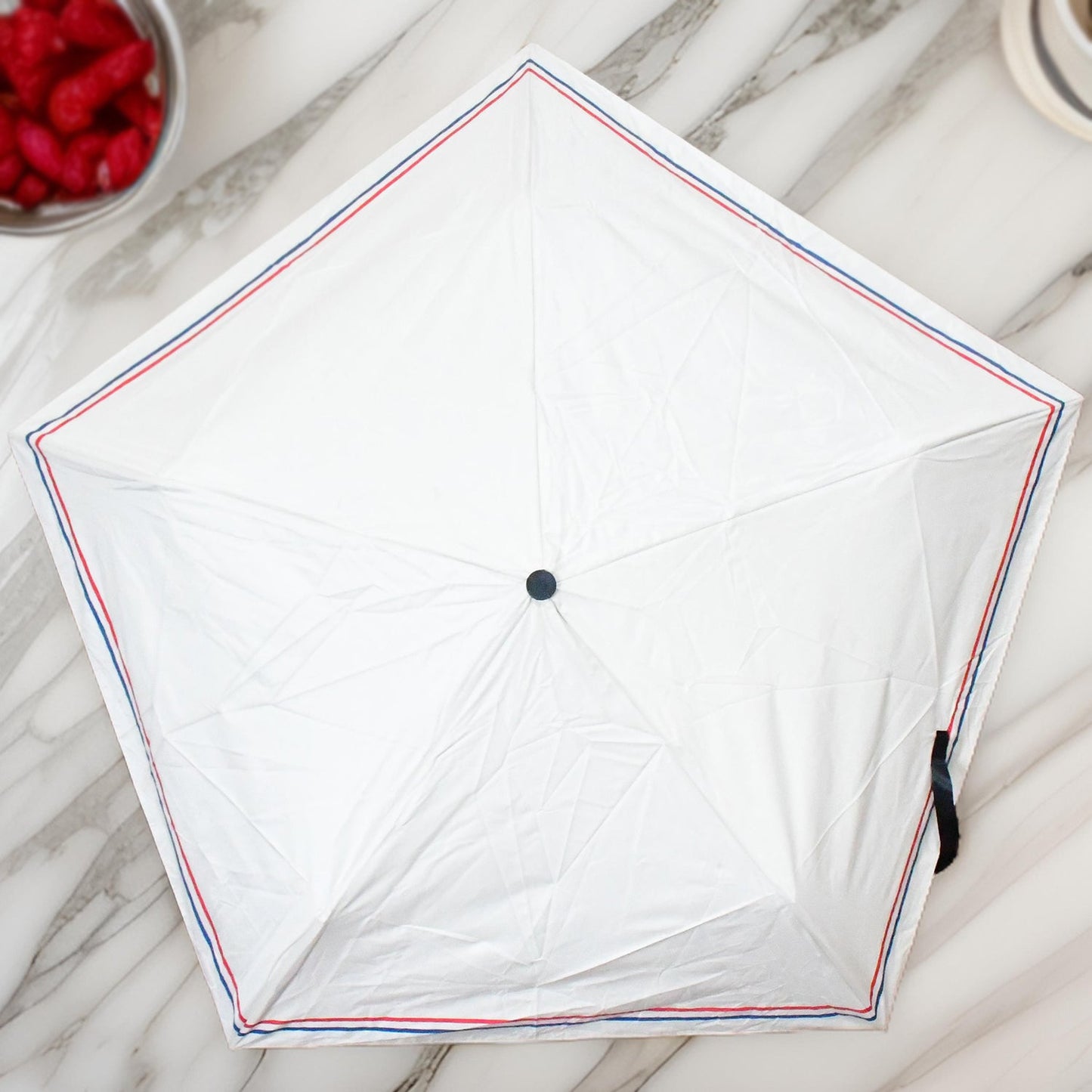 Foldable Umbrella