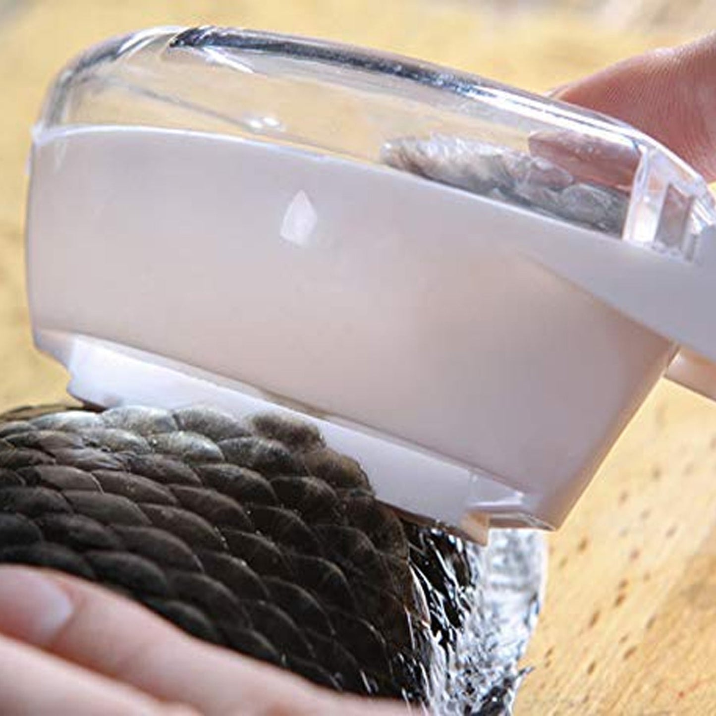 Fish Scale Scraper Peeler Fish Tools Kitchen - Springkart 