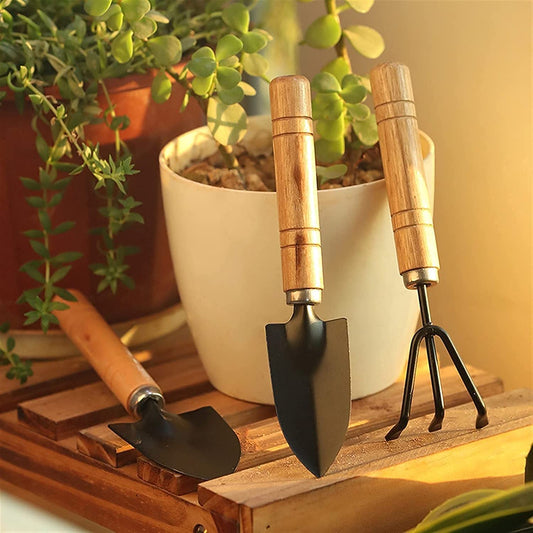 Small sized Hand Cultivator, Small Trowel, Garden Fork (Set of 3) - Springkart 