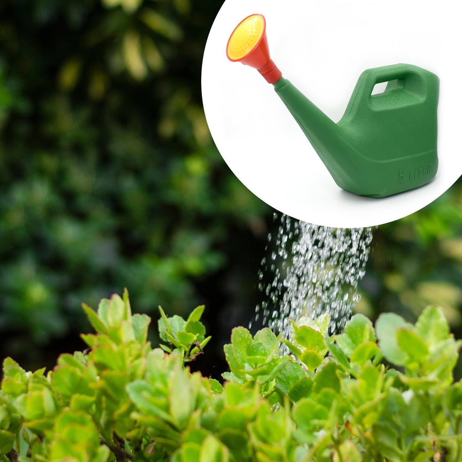 Plastic Watering Can Water Sprayer Sprinkler for Plants Indoor Outdoor Gardening, 5 LTR - Springkart 