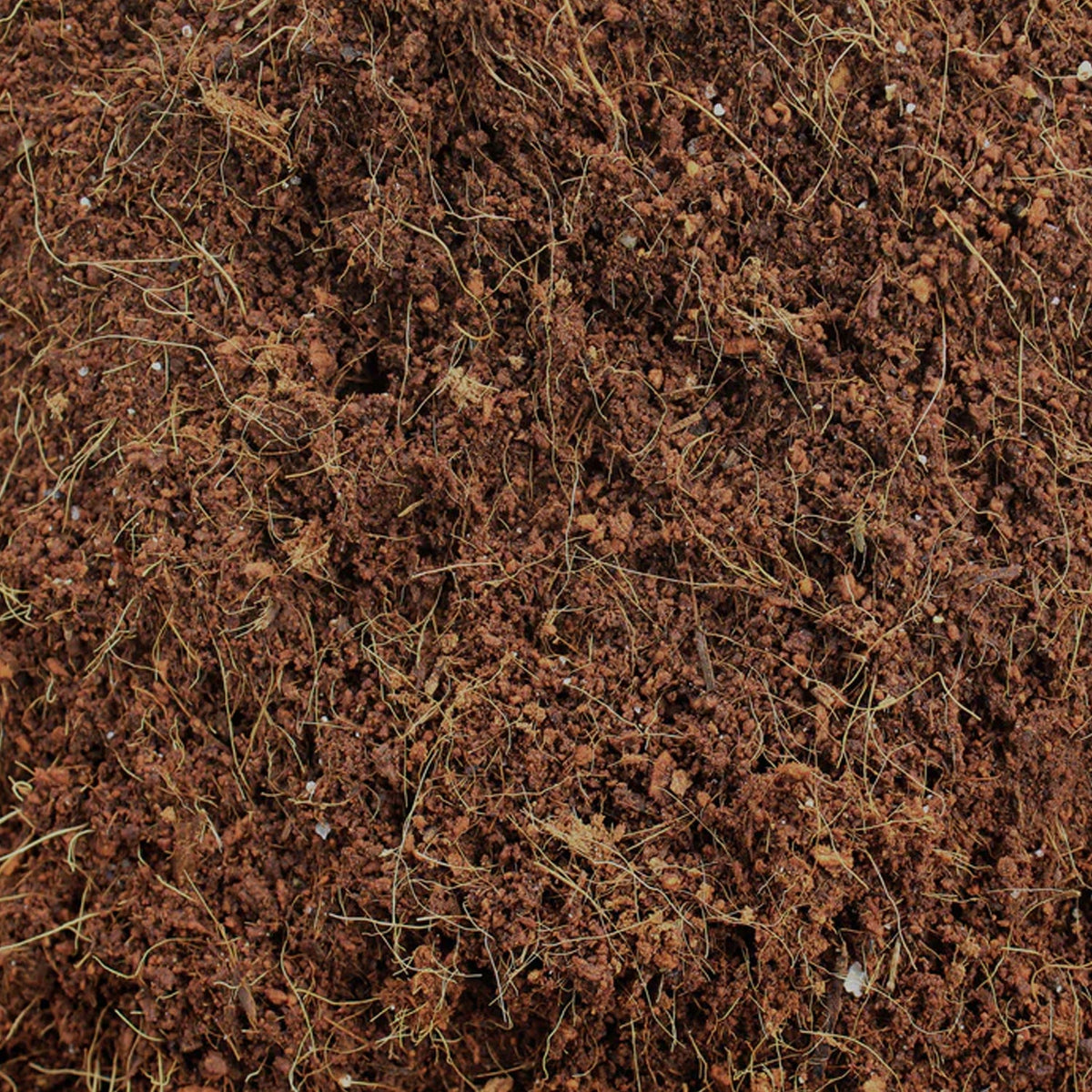 Cocopeat Block Organic Fertilizer and Soil Manure Potting Mixture for Home Gardening and Potted Plants (1 KG.) - Springkart 