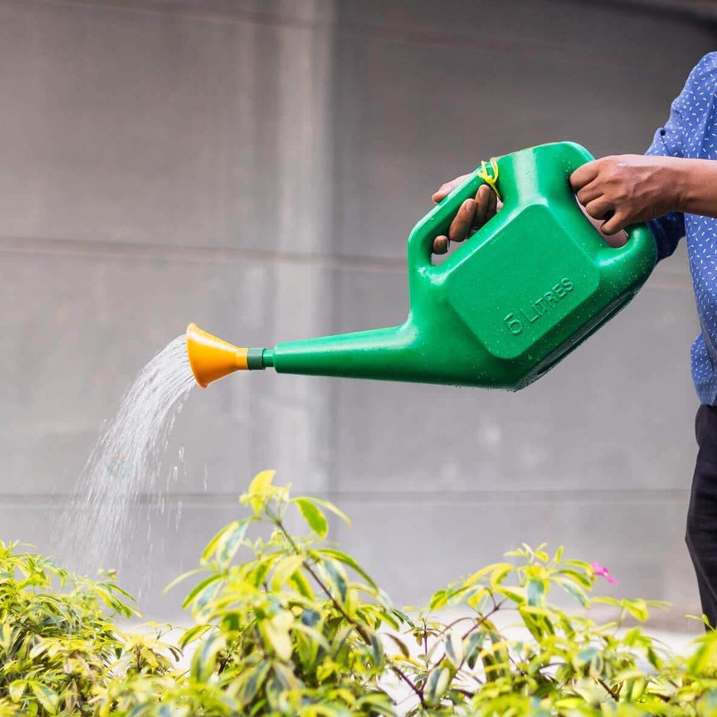 Plastic Watering Can Water Sprayer Sprinkler for Plants Indoor Outdoor Gardening, 5 LTR - Springkart 