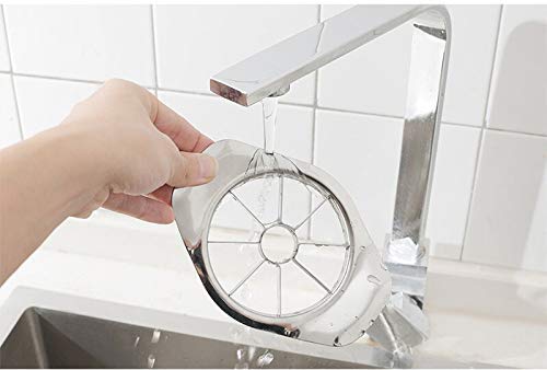 Stainless Steel Apple Cutter / Slicer with 8 Blades and Handle - Springkart 