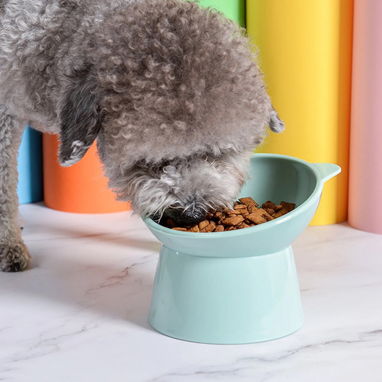 Plastic Multipurpose Bowl, Food Bowls (1 Pc) - Springkart 