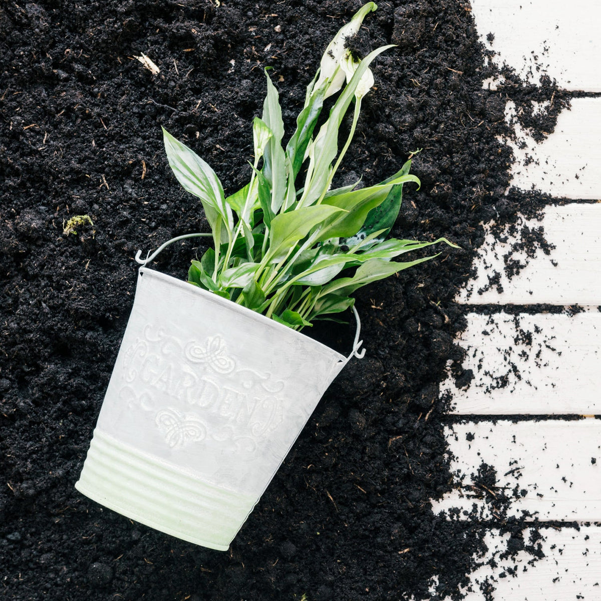 Organic Vermicompost Black Soil for Plants Health Manure (1 KG Approx) - Springkart 