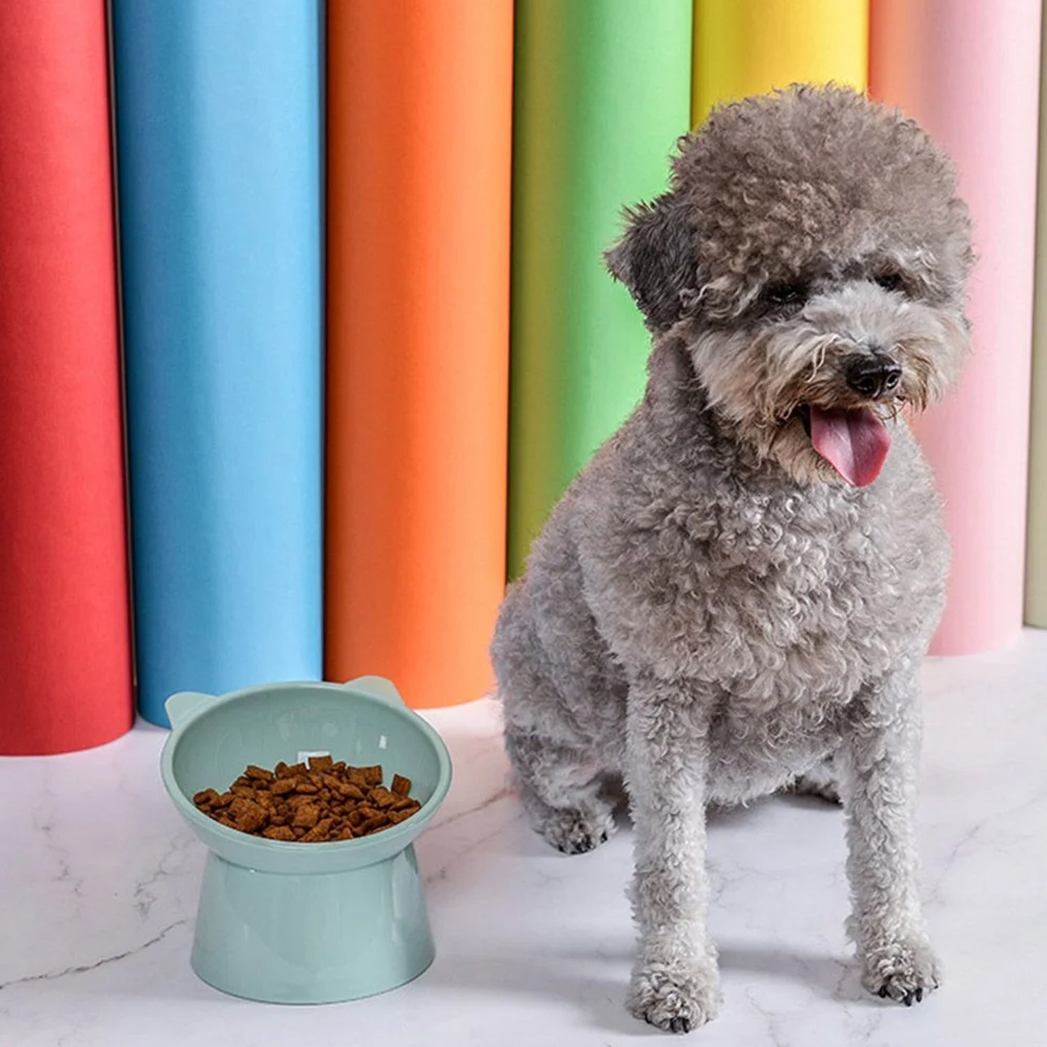 Plastic Multipurpose Bowl, Food Bowls (1 Pc) - Springkart 