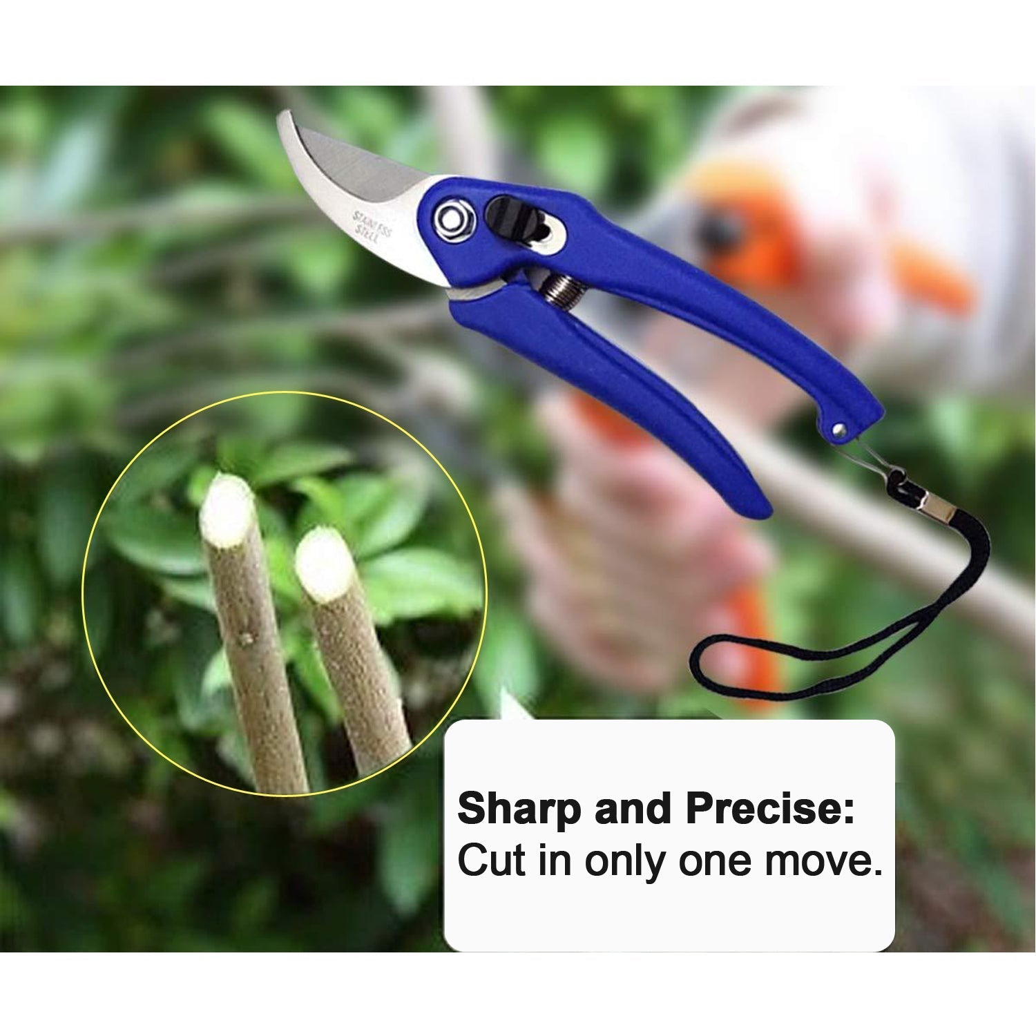 Garden Shears Pruners Scissor for Cutting Branches, Flowers, Leaves, Pruning Seeds - Springkart 