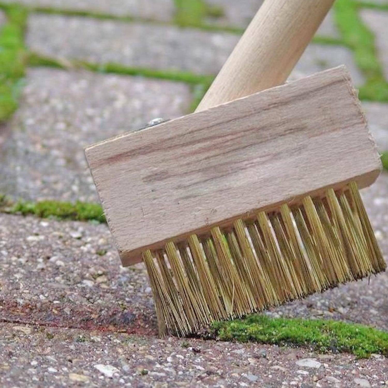 Paving Brush Wooden Block Paving Brush Patio Weed Remover Tool (1 Pc) - Springkart 