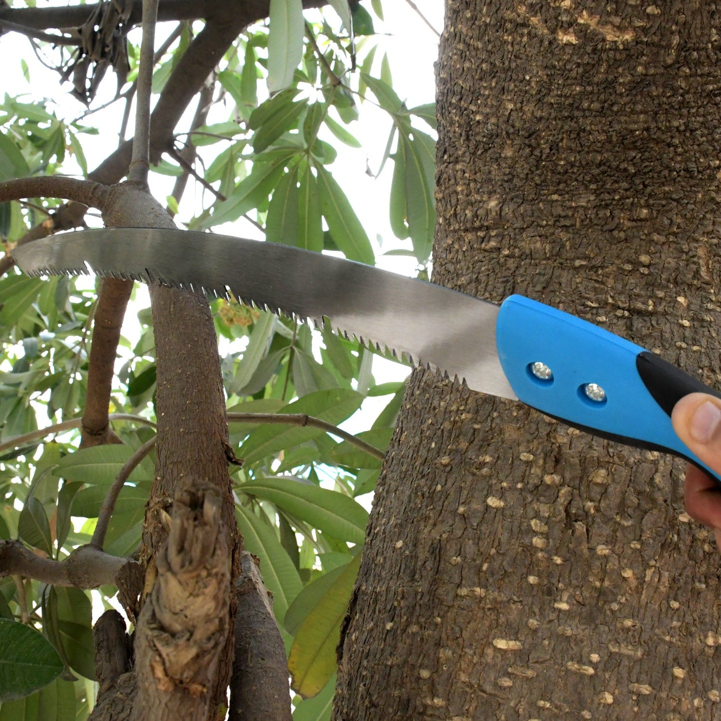 20 inch Pruning Saw With High Carbon Steel Hand Saw Edge Sharpen Teeth With Cover Packing Perfect For Gardening, Grass, Tree Cutting, Plants, Shrubs, Wood, branch cut - Springkart 