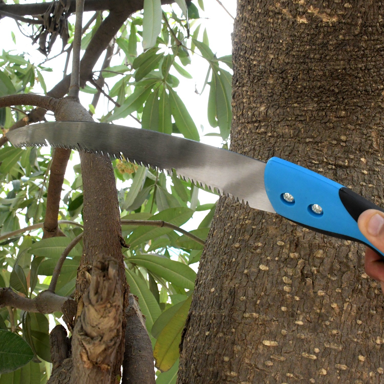 20 inch Pruning Saw With High Carbon Steel Hand Saw Edge Sharpen Teeth With Cover Packing Perfect For Gardening, Grass, Tree Cutting, Plants, Shrubs, Wood, branch cut - Springkart 