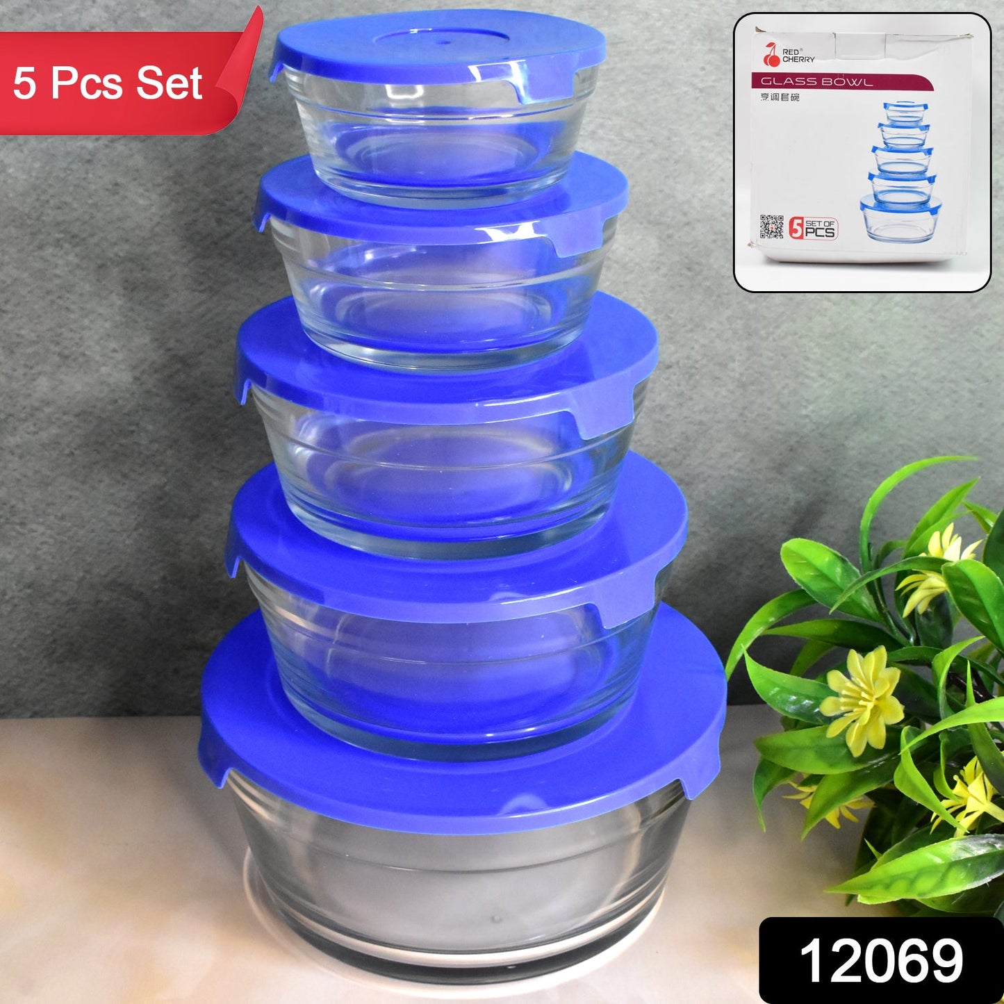 Modern Glass Bowl Set Mixing / Storage Bowls with Lids (5 Pcs Set) - Springkart 