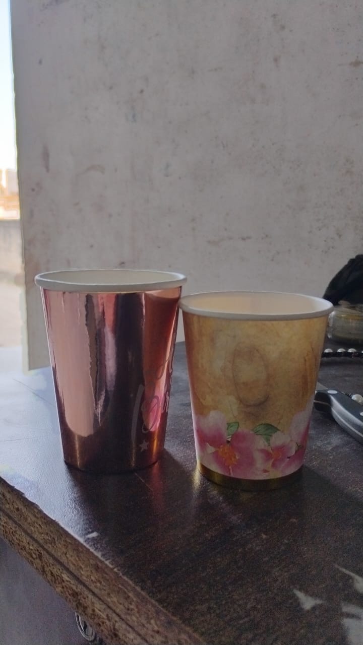 Disposable Paper Cups Disposable Tea Coffee Cups (24 Pcs Set Mix Color Design) - Springkart 