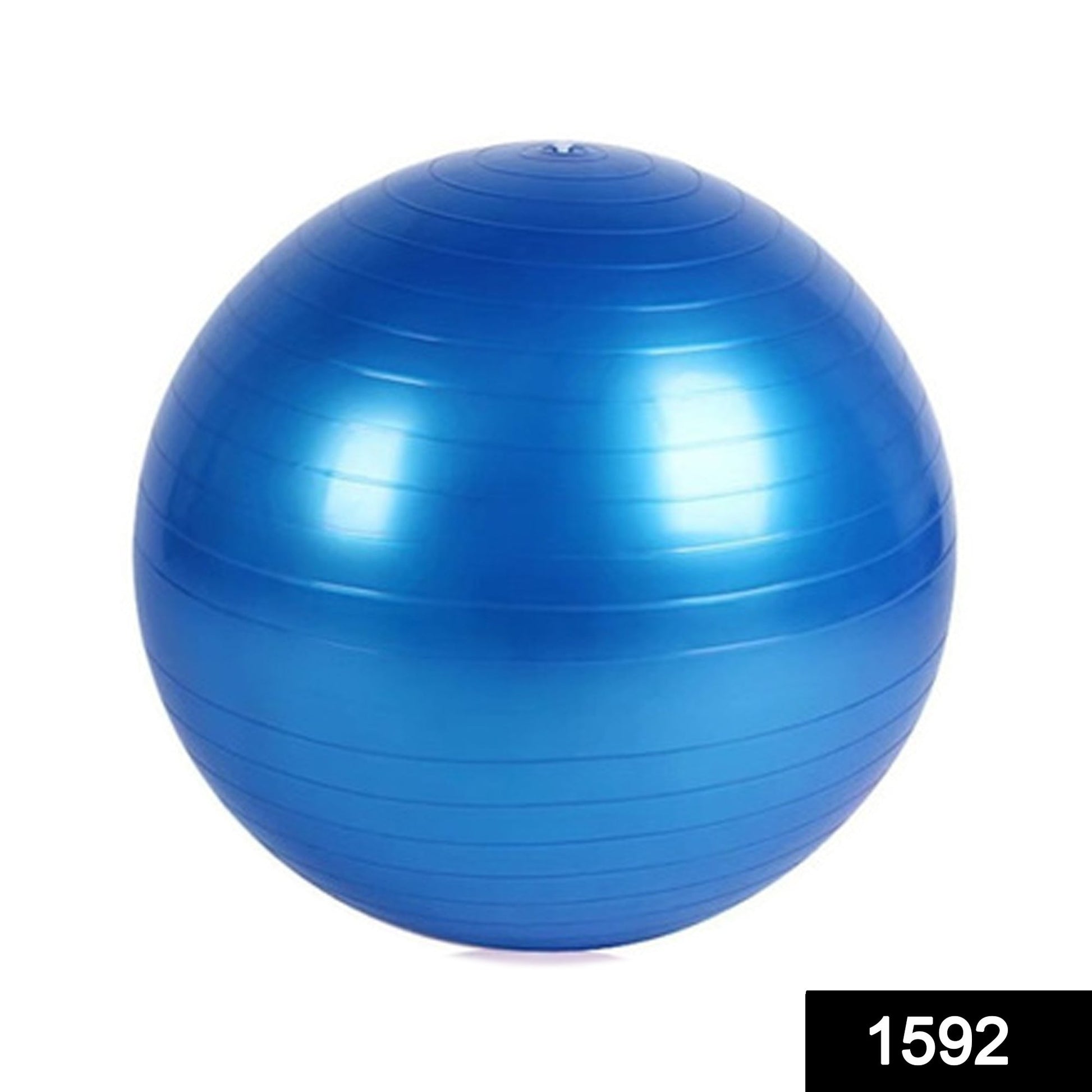 Anti-Burst Exercise Heavy Duty Gym Ball (Multicolour) (75Cm) - Springkart 