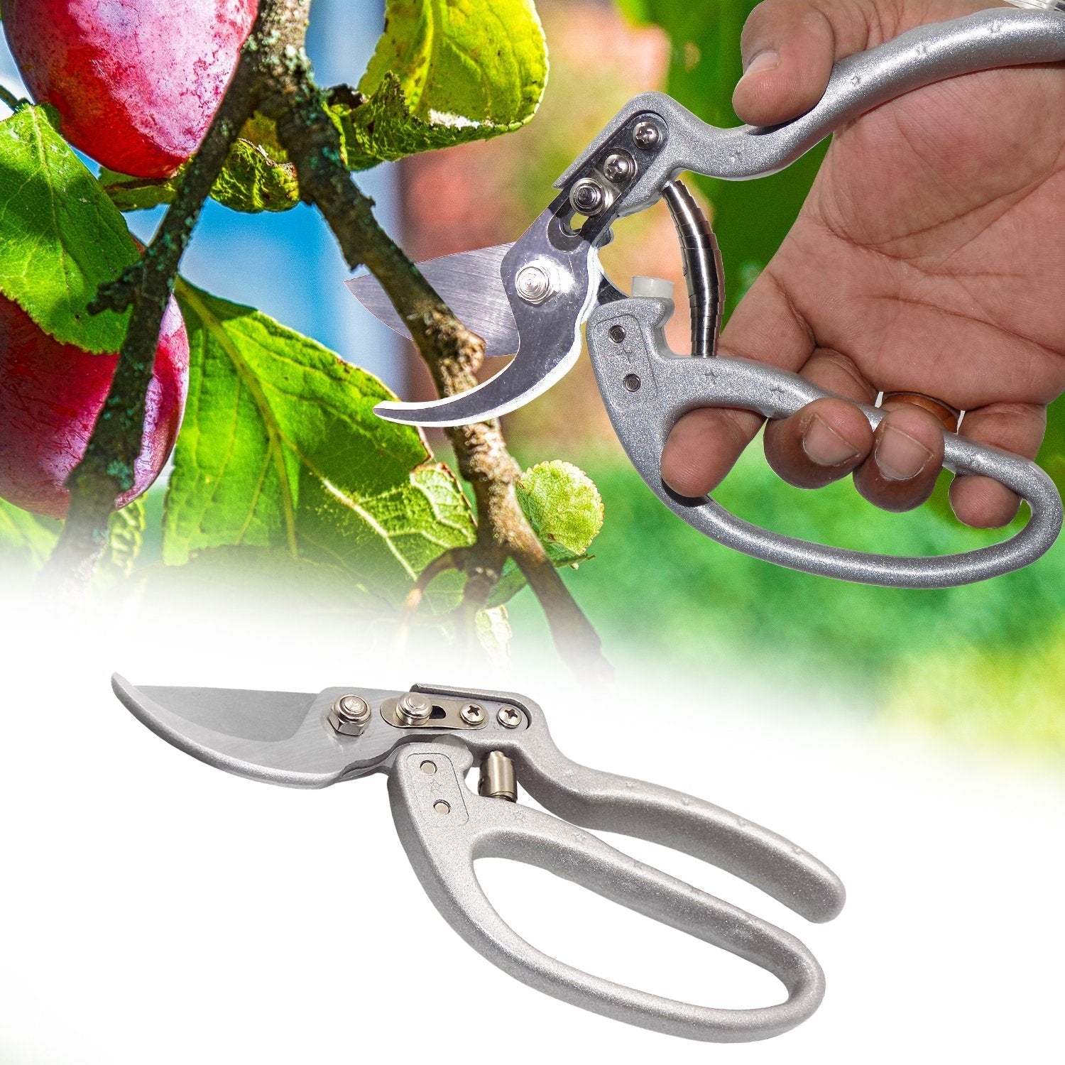 Pruning Shear Cutter for All Purpose Garden Use - Springkart 