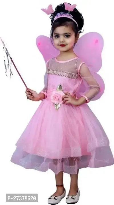 Beautiful Pari Dress For Baby Girls