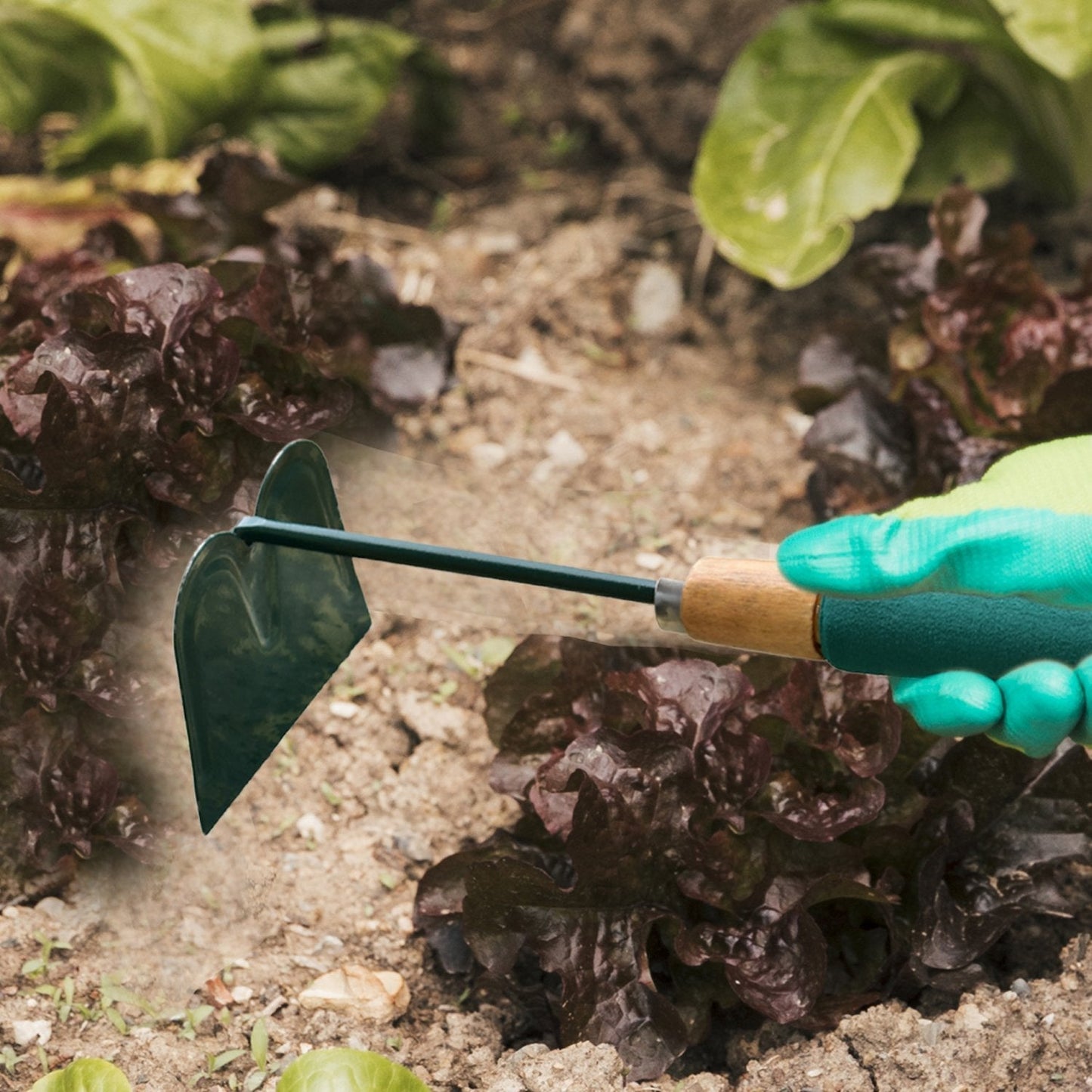 Gardening Hoe Tool with Handle - Springkart 