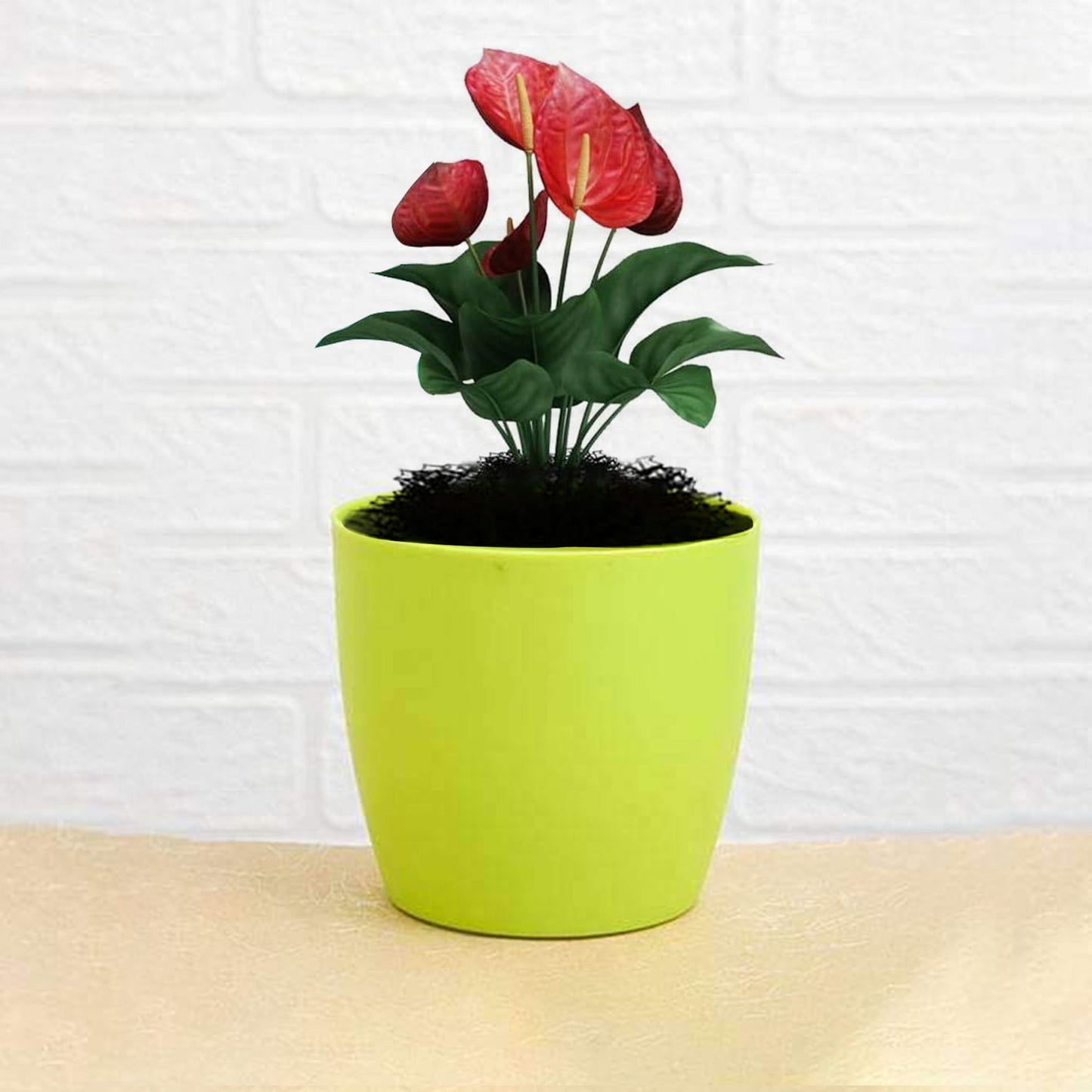 Flower Pots Round Shape For Indoor / Outdoor Gardening - Springkart 