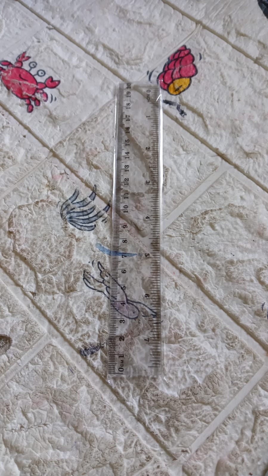 20Cm Ruler For Student Purposes While Studying And Learning In Schools And Homes Etc. (10 Pc)