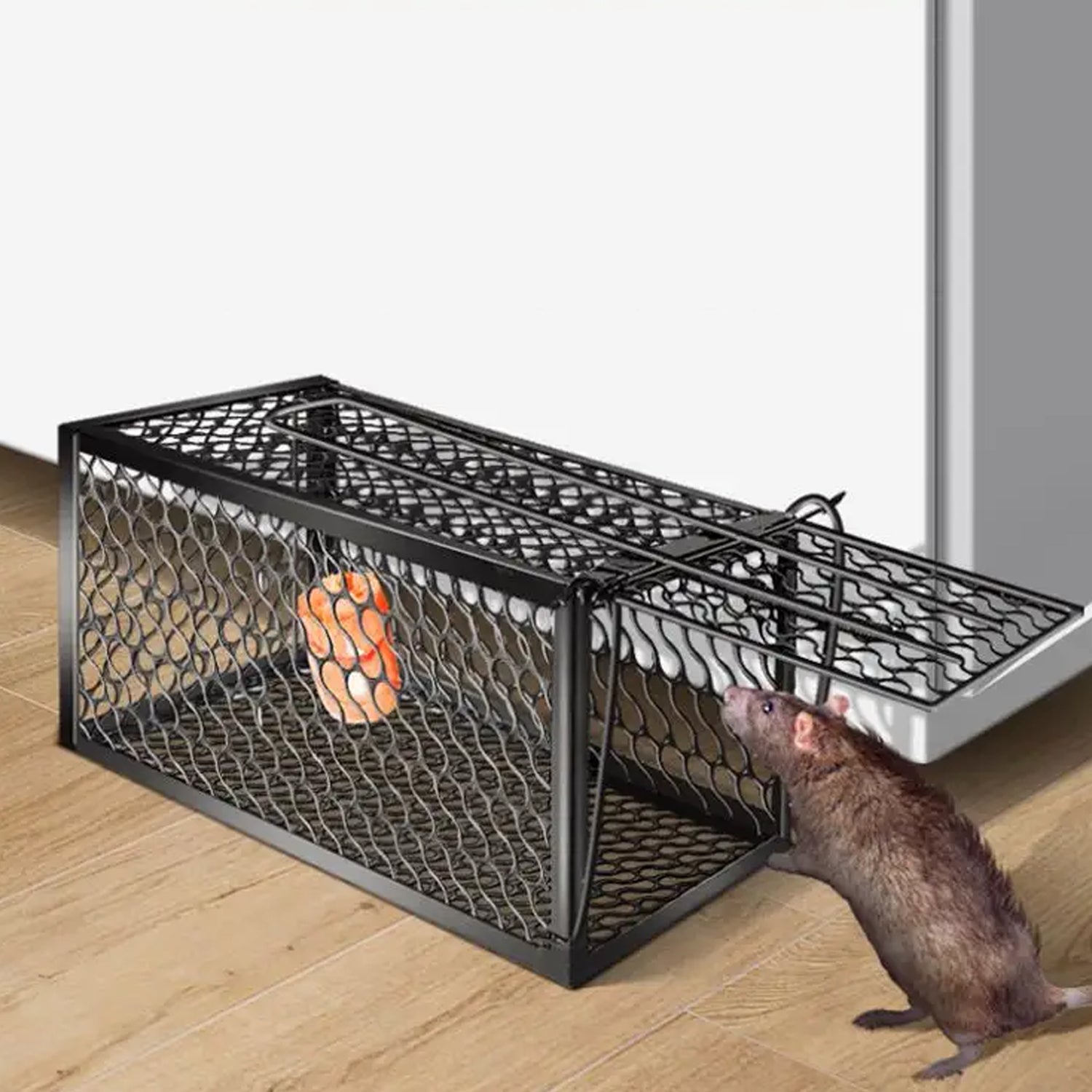 Foldable Mouse Trap Squirrel Trap Small Live Animal Trap Mouse Voles Hamsters Live Cage Rat Mouse Cage Trap for Mice Easy to Catch and Release - Springkart 