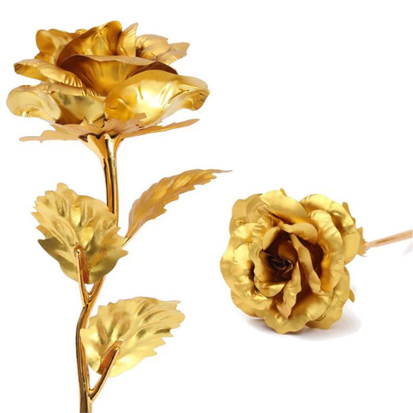 B Golden Rose is perfect for decorating homes, offices, cafes - Springkart 