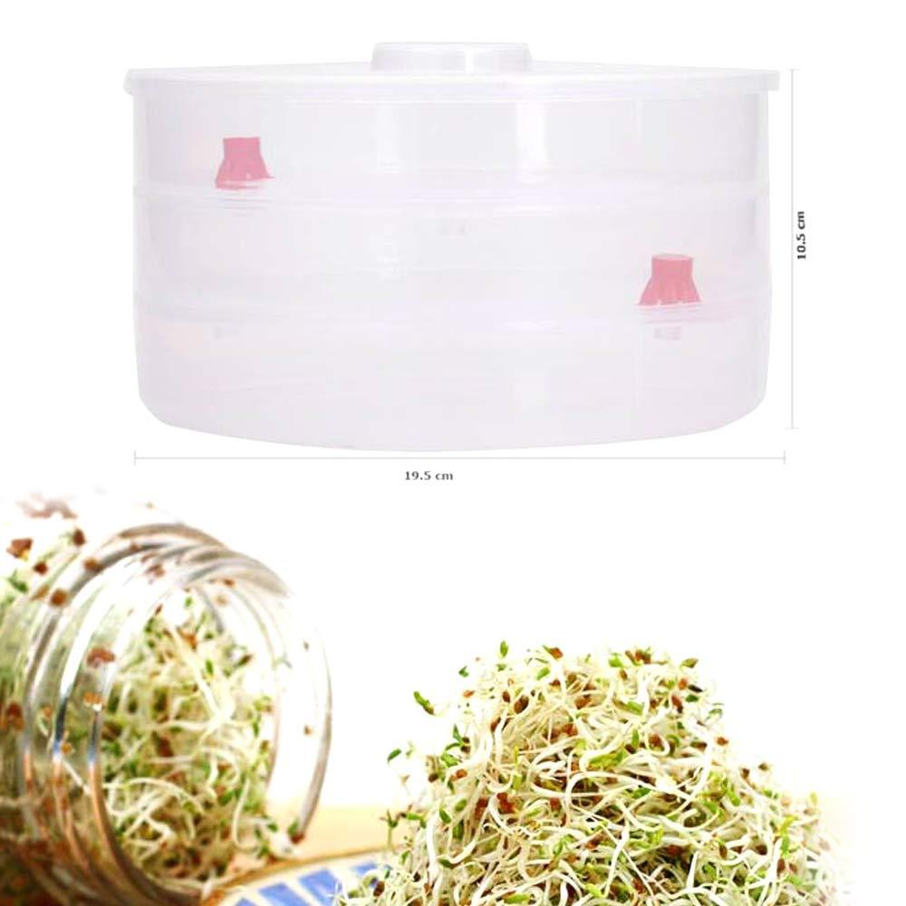 Plastic 3 Compartment Sprout Maker, White - Springkart 