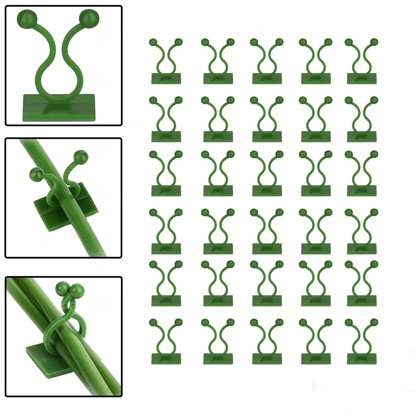 30pcs wall Plant Climbing Clip widely used for holding plants and poultry purposes and all (Box/30 Pcs Set) - Springkart 