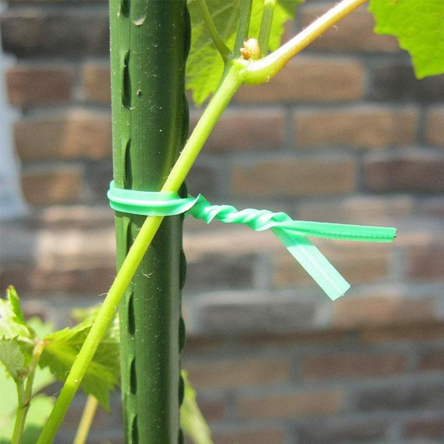 Plastic Twist Tie Wire Spool With Cutter For Garden Yard Plant 50m (Green) - Springkart 