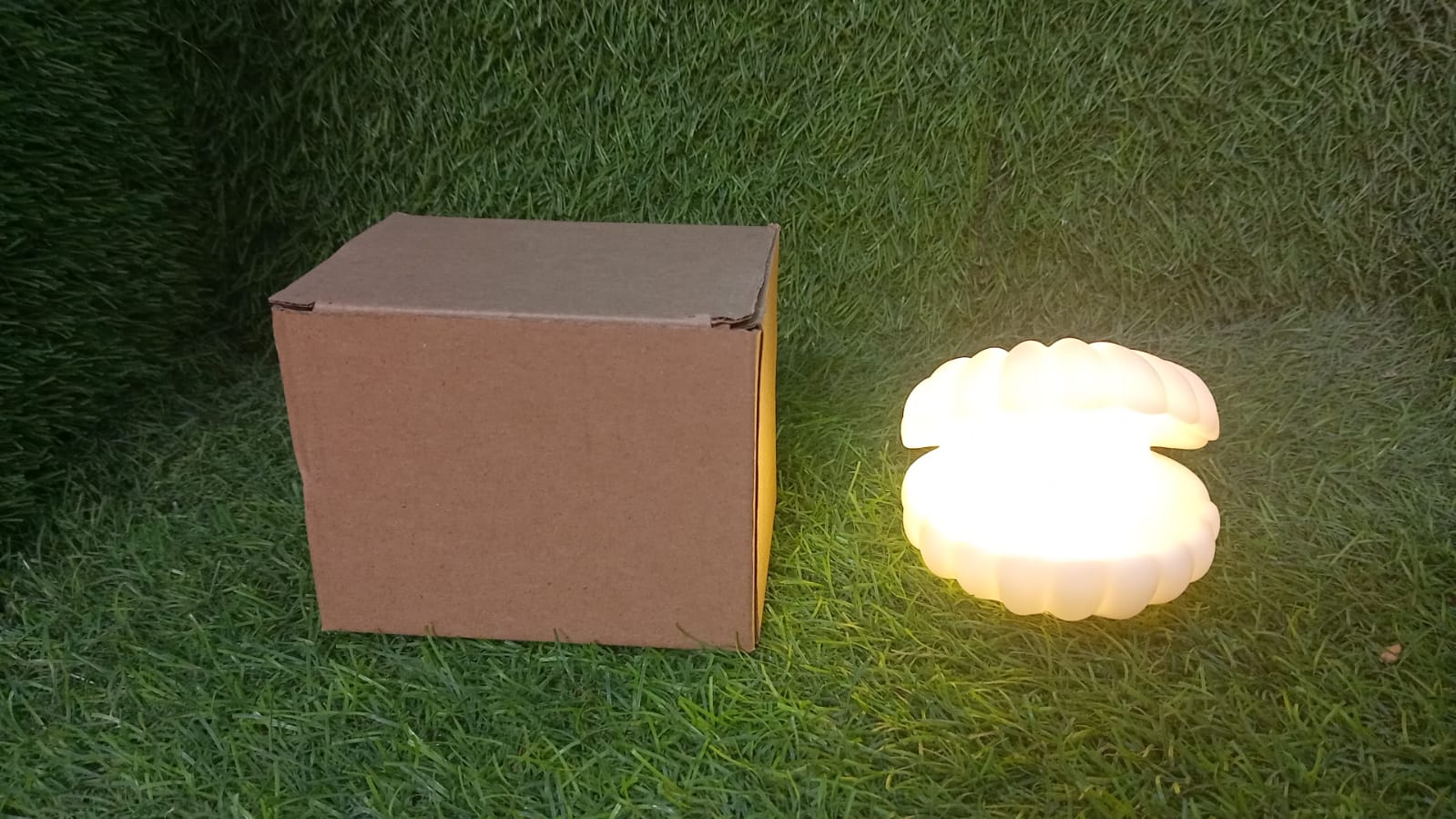 Pearl Shell Night Lamp Decorate Desk Lights Nursery Toy Lamp Led Pearl Shell Night Lights For Bedroom & Home - Springkart 
