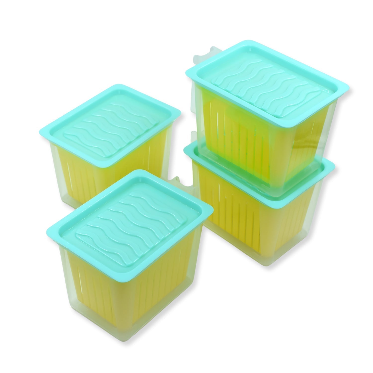 Fridge Storage Containers with Handle Plastic Storage Container for Kitchen(4 Pcs Set) - Springkart 