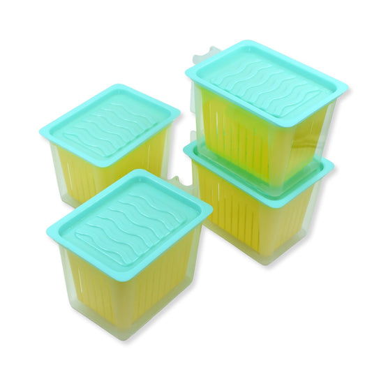 Fridge Storage Containers with Handle Plastic Storage Container for Kitchen(4 Pcs Set) - Springkart 