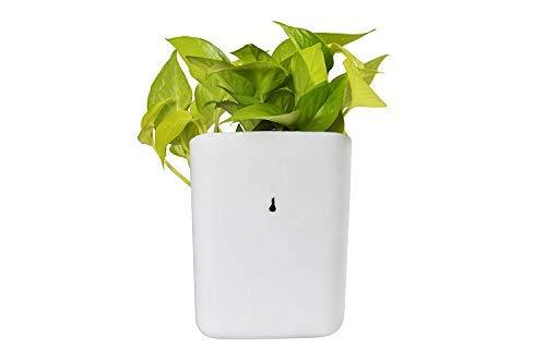 Plastic Vertical Hanging Planter Pot, Multicolour, - Springkart 