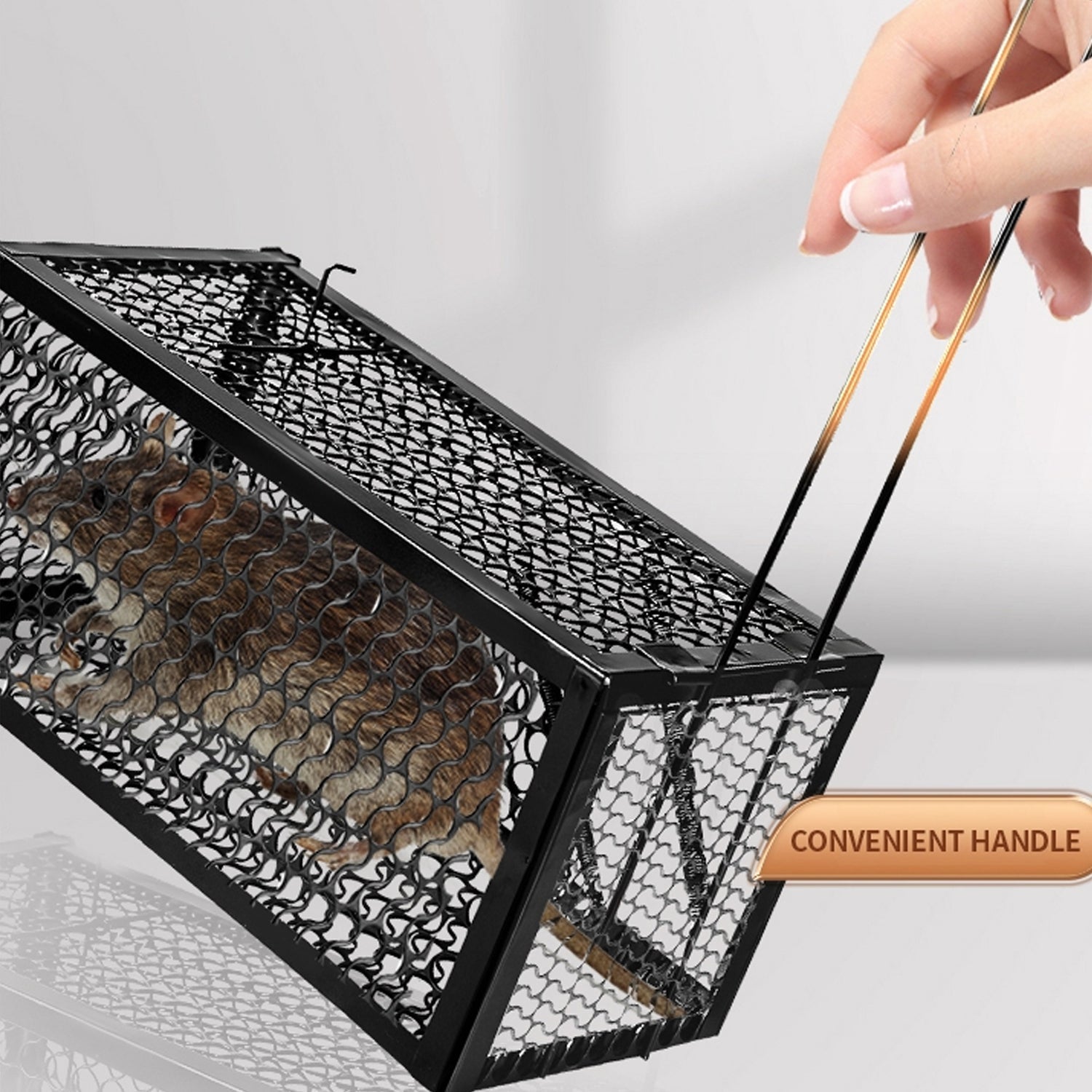 Foldable Mouse Trap Squirrel Trap Small Live Animal Trap Mouse Voles Hamsters Live Cage Rat Mouse Cage Trap for Mice Easy to Catch and Release - Springkart 