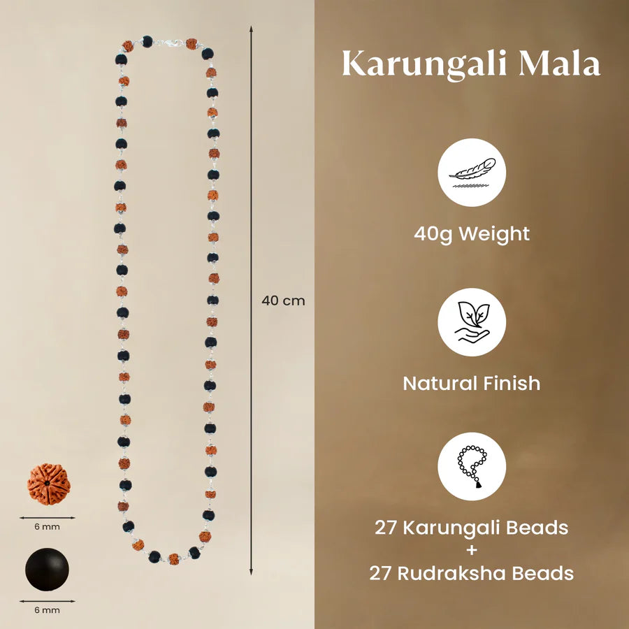 Divya Raksha Rudraksha & Karungali Mala with Govt. Certification