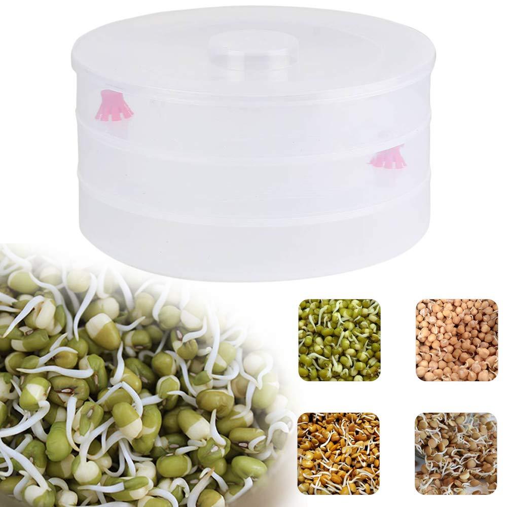 Plastic 3 Compartment Sprout Maker, White - Springkart 