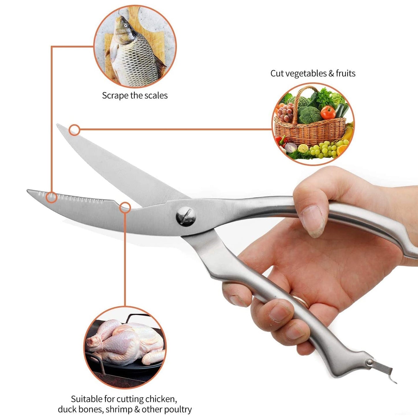 Heavy Duty Stainless Steel Poultry Shears, Premium Ultra Sharp Spring-Loaded Kitchen - Springkart 