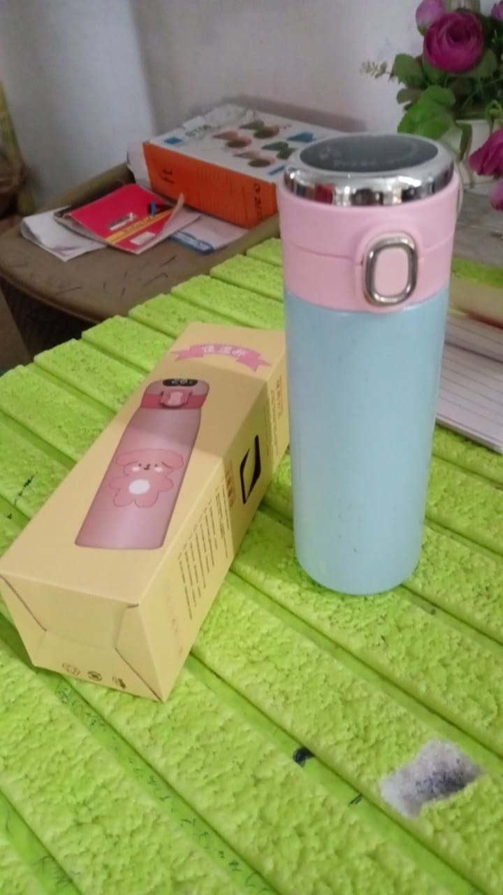 Double walled Stainless Steel Water Bottle (450 ML Approx) - Springkart 