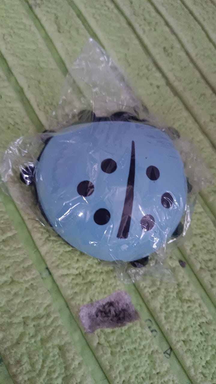 Ladybug Toothbrush Holder (1 Pc) - Springkart 