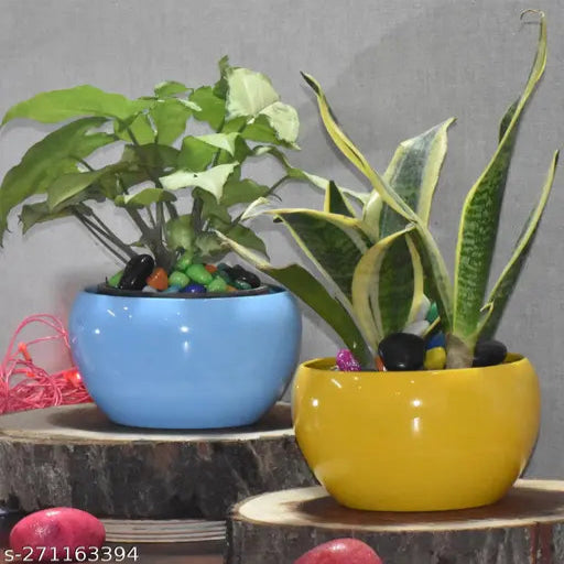Trendy Pot Combo/Indoor/Outdoor/Plant Container Blue,Yellow ,5,5inch Pack 2