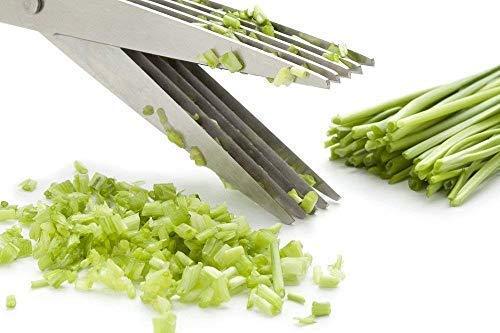 Multifunction Vegetable Stainless Steel Herbs Scissor with 5 Blades - Springkart 