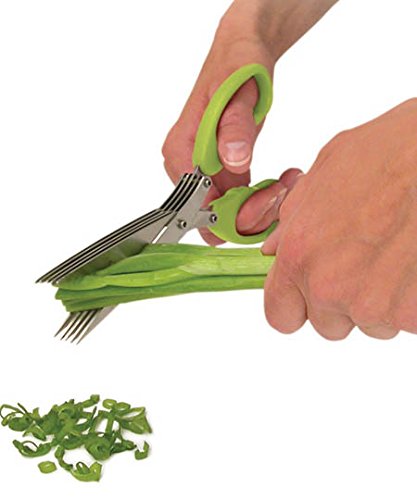 MULTIFUNCTION VEGETABLE STAINLESS STEEL HERBS SCISSOR WITH 5 BLADES - Springkart 
