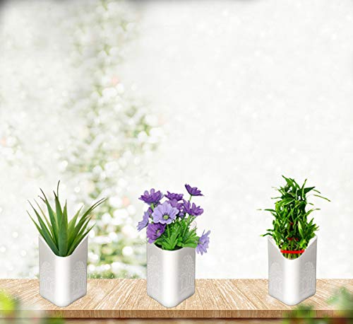 Plastic Vertical Hanging Planter Pot, Multicolour, - Springkart 